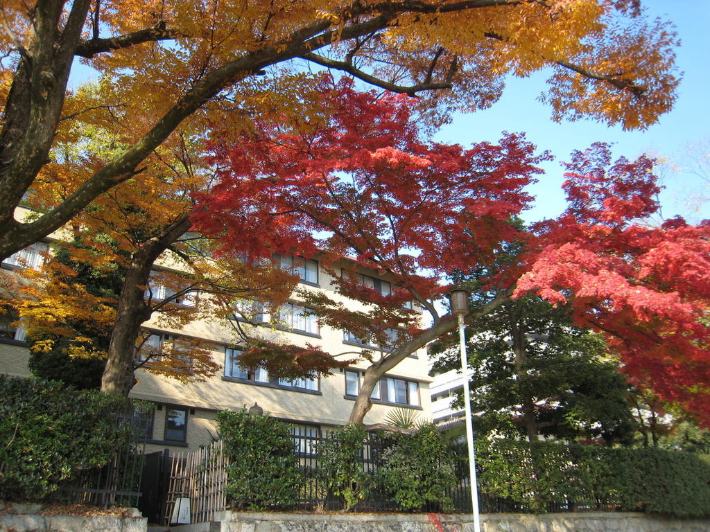 Kkr Kyoto Kuniso Hotel Exterior photo